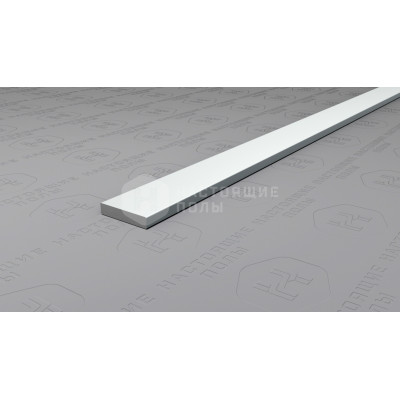 Полоса алюминиевая Neexy PV87-02 серебро матовое, 2700*10*2 мм