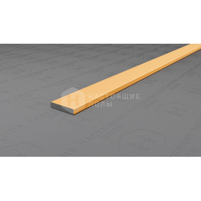 Полоса алюминиевая Neexy PV87-04 золото матовое, 2700*10*2 ммPV87-04 золото матовое, 2700*10*2 мм