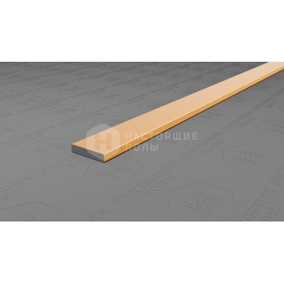 Полоса алюминиевая Neexy PV87-05 золото блестящее, 2700*10*2 мм