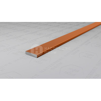 Полоса алюминиевая Neexy PV87-06 бронза матовая, 2700*10*2 мм