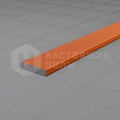 PV87-07 бронза блестящая, 2700*10*2 мм