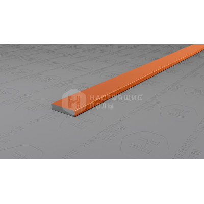 Полоса алюминиевая Neexy PV87-07 бронза блестящая, 2700*10*2 мм