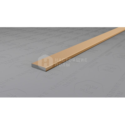 Полоса алюминиевая Neexy PV87-08 шампань матовая, 2700*10*2 мм