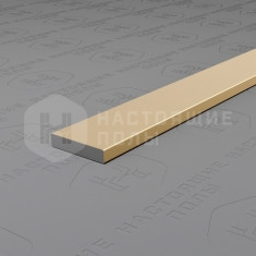 PV87-09 шампань блестящая, 2700*10*2 мм