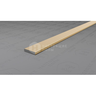 Полоса алюминиевая Neexy PV87-09 шампань блестящая, 2700*10*2 мм