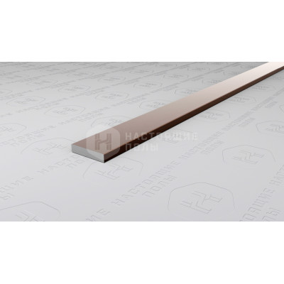 Полоса алюминиевая Neexy PV87-11 коричневый блестящий, 2700*10*2 мм