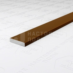 PV87-48 темная бронза блестящая, 2700*10*2 мм