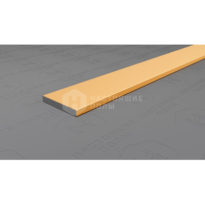 Полоса алюминиевая Neexy PV88-04 золото матовое, 2700*15*2 мм