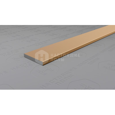 Полоса алюминиевая Neexy PV88-08 шампань матовая, 2700*15*2 мм