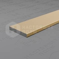 PV88-09 шампань блестящая, 2700*15*2 мм