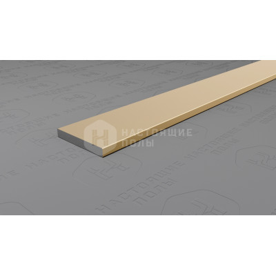 Полоса алюминиевая Neexy PV88-09 шампань блестящая, 2700*15*2 мм