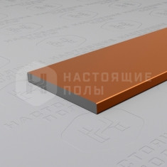 PV89-06 бронза матовая, 2700*20*2 мм