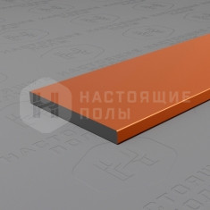 PV89-07 бронза блестящая, 2700*20*2 мм