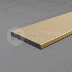 PV89-09 шампань блестящая, 2700*20*2 мм