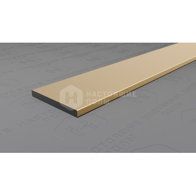 Полоса алюминиевая Neexy PV89-09 шампань блестящая, 2700*20*2 мм