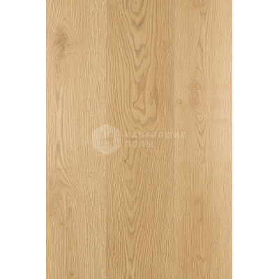 Ламинат FirstFloor Passion Matt 3D 1F305 Дуб Рапсодия, 1215*195*8 мм