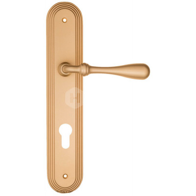 Дверная ручка Fratelli Cattini Retro FCT2002 CYL PL288-BS матовая латунь Дверная ручка Fratelli Cattini Retro FCT2002 CYL PL288-BS матовая латунь