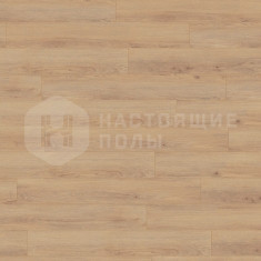 Robusto D80592 Дуб норфолк, 1375*188*12 мм