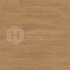 Mammut Plus D81132 Дуб натур элеганс, 1845*244*10 мм