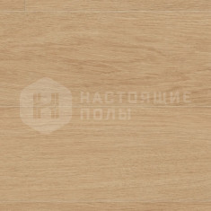 Mammut Plus D81162 Дуб крем элеганс, 1845*244*10 мм