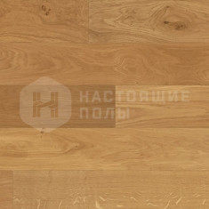 1023201 Дуб Мед Зенитюд матовый лак, 495-1992*139*14 мм