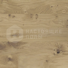 1023199 Дуб Фундук Зенитюд матовый лак, 495-1992*139*14 мм