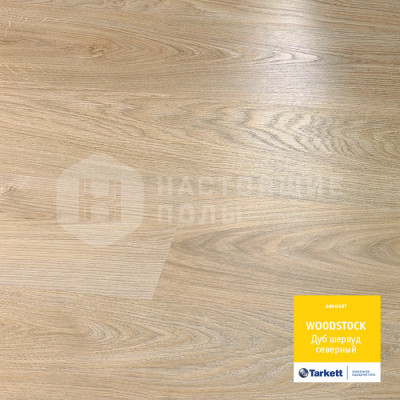 Ламинат Tarkett Woodstock Family Дуб Шервуд северный