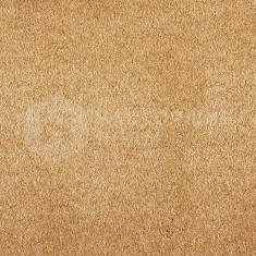 Parana 35, 5000 мм