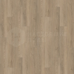 6241 Дуб Веларус дымчатый, 1220*180*5 мм