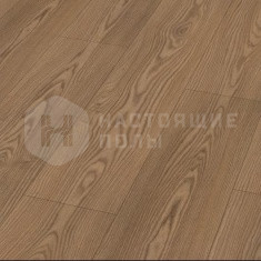 EC2012 Ясень Вайнсберг