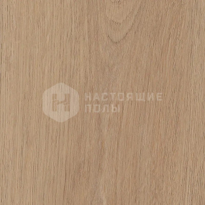 SPC плитка свободной укладки Invictus Maximus Plank Cashmere Oak Sunny, 1219*229*5 мм