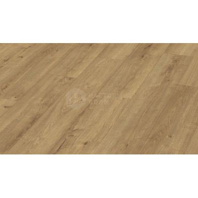 Ламинат Meister LD 250 7001 Дуб Шампань, 1288*244*10 мм Ламинат Meister LD 250 7001 Дуб Шампань, 1288*244*10 мм