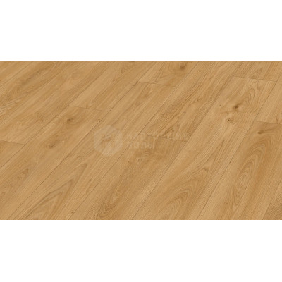 Ламинат Meister LD 250 7127 Дуб Хани Ривербенк, 1288*244*10 мм Ламинат Meister LD 250 7127 Дуб Хани Ривербенк, 1288*244*10 мм