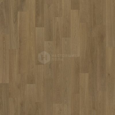 Инженерная доска Coswick Оттенки серого 1119-3289-10 Дуб Атлантида 1 Натур шелковое масло, 2000-2100*190*19.05 мм