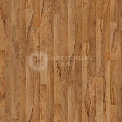 Ламинат Tarkett Robinson 504035082 Молодой Орех