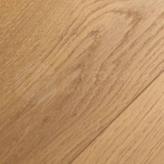 1F415 Дуб Люмен, 1520*196*8 мм