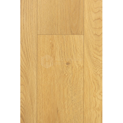 Ламинат FirstFloor 1F419 Дуб Твилль, 1520*196*8 мм