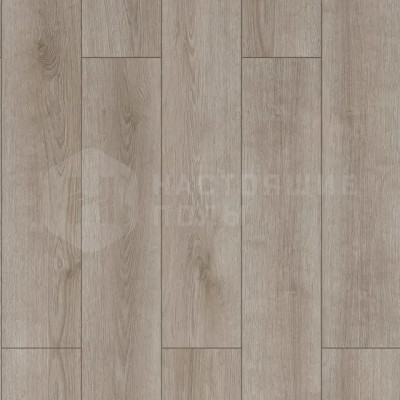 Ламинат Camsan 735 Дуб Вардар, 1380*192,5*8 мм