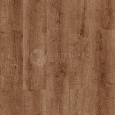 Ламинат Camsan 716 Дуб Гедиз, 1200*192,5*8 мм