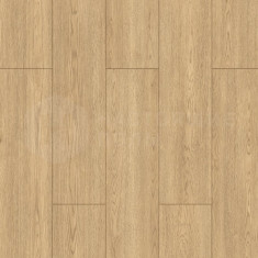 718 Фалия, 1200*192,5*8 мм