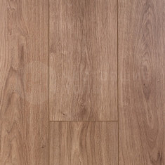 3382 Вельвичия, 1220*198*12 мм