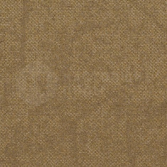 Recharg 2024, 500*500*6.5 мм
