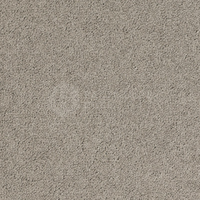 Ковровая плитка Desso Palatino 2923, 500*500*8 мм