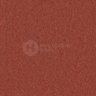 Ковровая плитка Desso Essence Pure 4422, 500*500*6 мм