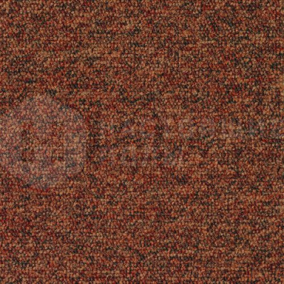Ковровая плитка Desso Tempra 5411, 500*500*5 мм