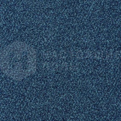 Ковровая плитка Desso Torso 8803, 500*500*7 мм
