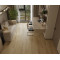 SPC плитка замковая Alpine Floor ECO 27-2-R Вега, 1220*183*8 мм