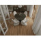 SPC плитка замковая Alpine Floor ECO 27-9-R Антарес, 1220*183*8 мм