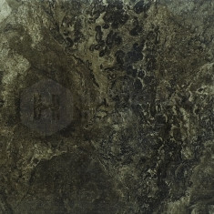 Fossil Brown Full Lappato, 1200*600*9 мм