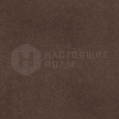 CA03 Коричневый Неполированный, 1200*600*9 мм